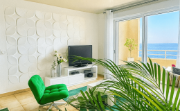 Salon Smart TV/Netflix*Canal +